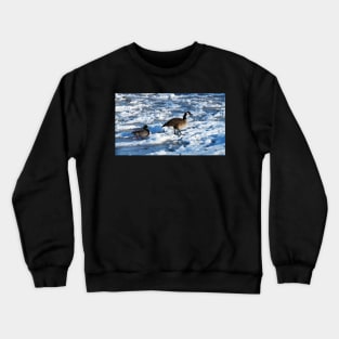 Green Mallard Duck and Canada Goose Walking On The Snow Crewneck Sweatshirt